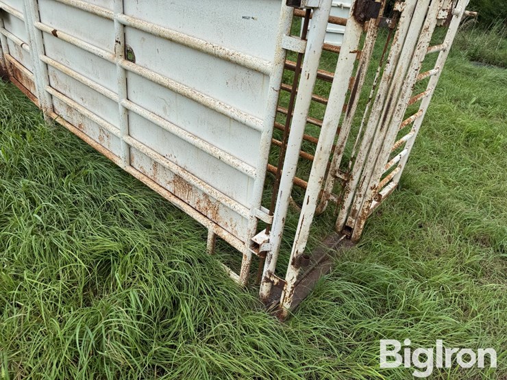 cattle-alleyway-image-15