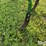 champion-300-anhydrous-applicator-image-9