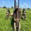 john-deere-model-b-image-8
