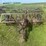 john-deere-14-image-8