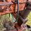 white-6-bottom-plow-image-10