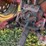 international-1066-image-10