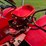 porsche-junior-image-15