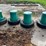 ameri-ag-mineral-feeders-image-4