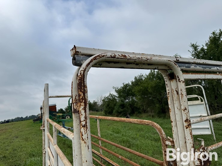 cattle-alleyway-image-13