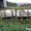 300-gallon-saddle-tanks-w/mounting-brackets-image-10