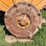 minneapolis-moline-u-image-46