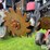 case-ih-1200-image-20