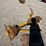 #t13977-•-danuser-post-hole-digger-image-3