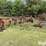 white-6-bottom-plow-image-1