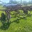 massey-ferguson-14-image-29