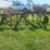 massey-ferguson-14-image-5