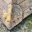 caterpillar-sixty-image-12