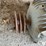 electric-motor-image-10