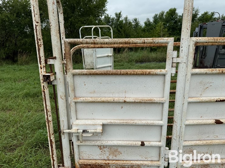 cattle-alleyway-image-17