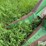 john-deere-343-image-16