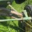 john-deere-gp-image-14