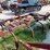 krause-790-image-3