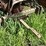 john-deere-h-image-36