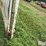 cattle-alleyway-image-20