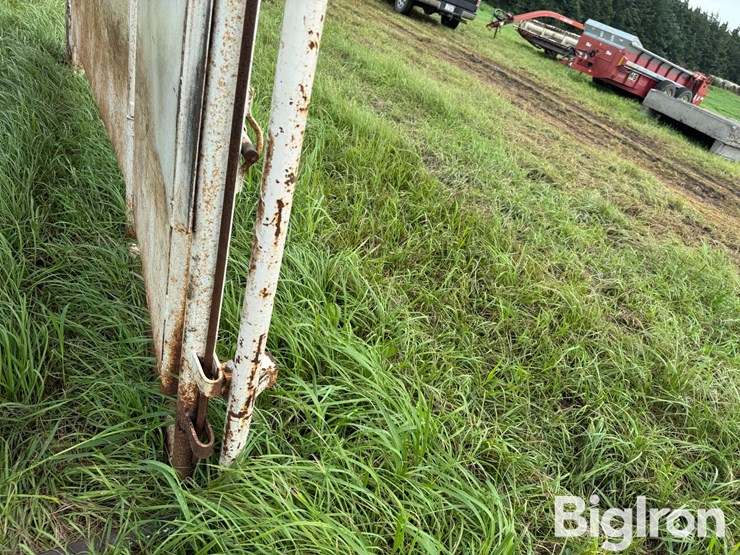 cattle-alleyway-image-20