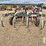 glencoe-soil-saver-image-6