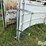 cattle-alleyway-turn-image-15