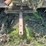 john-deere-ar-image-35