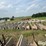 concrete-feed-bunks-image-8