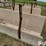 concrete-feed-bunks-image-11