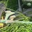 john-deere-gp-image-12