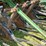 john-deere-8350-image-15