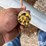 augers-image-12
