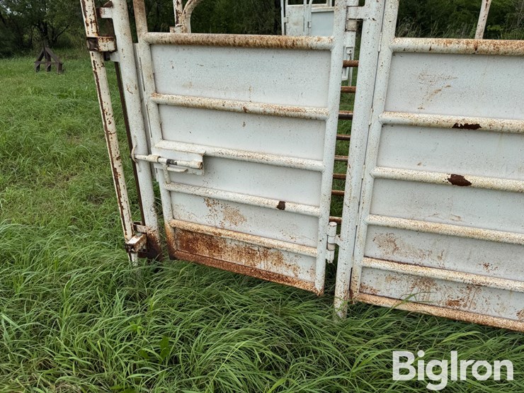 cattle-alleyway-image-16