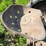 john-deere-h-image-43