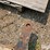 case-ih-5-image-12