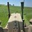 john-deere-d-image-36