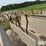 concrete-feed-bunks-image-17