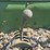 john-deere-r-image-42