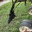 1984-case-ih-800-image-16