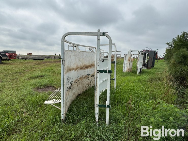 cattle-alleyway-turn-image-8