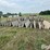 concrete-feed-bunks-image-8