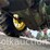 john-deere-d-image-14