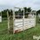 cattle-alleyway-image-3
