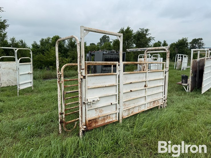 cattle-alleyway-image-3