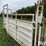 cattle-alleyway-image-14