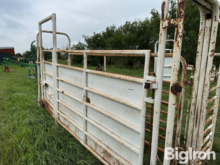 cattle-alleyway-image-14