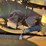 minneapolis-moline-gb-image-25