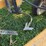 landoll-875-image-9