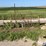 gates-&-panels-image-6